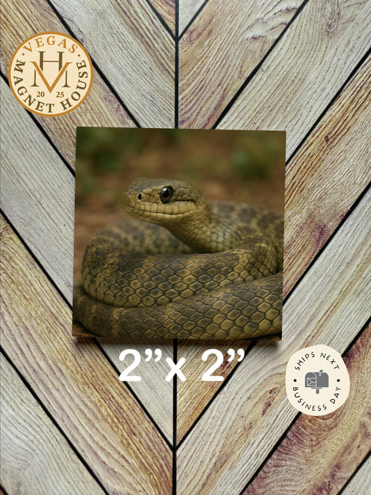 Snake magnet  2x2": Decorative Fridge Magnet Gift