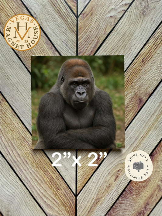 Gorilla magnet  2x2": Decorative Fridge Magnet Gift