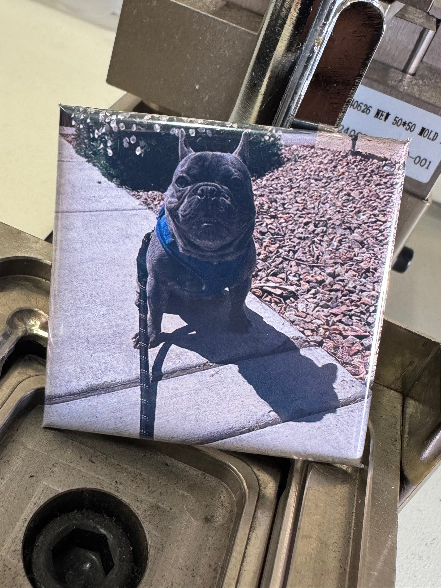 Square Custom Photo Magnets