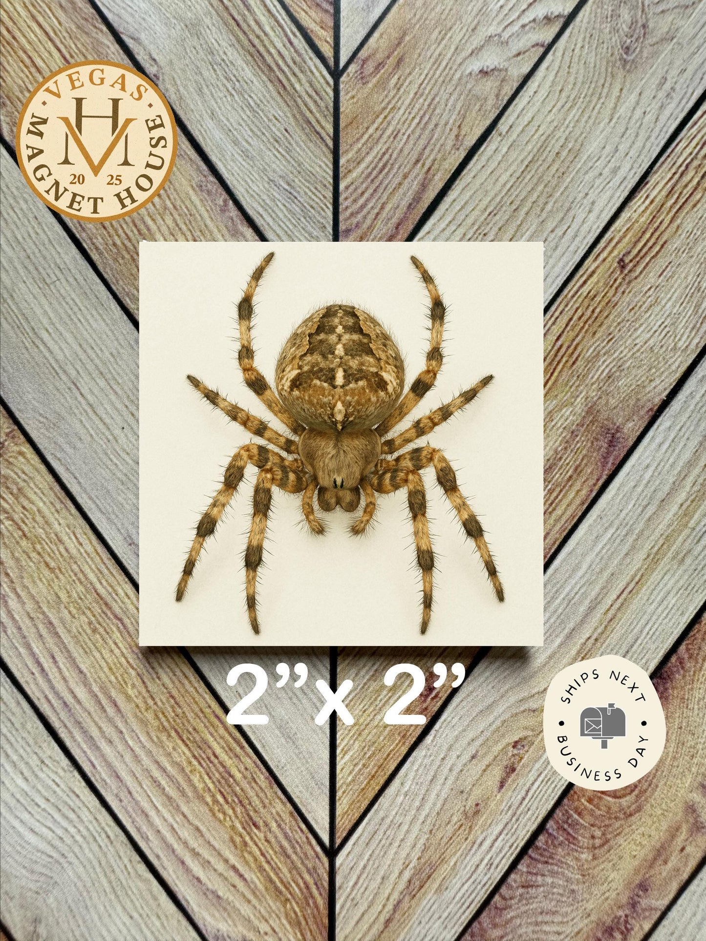 Spider Magnet  2x2": Decorative Fridge Magnet Gift