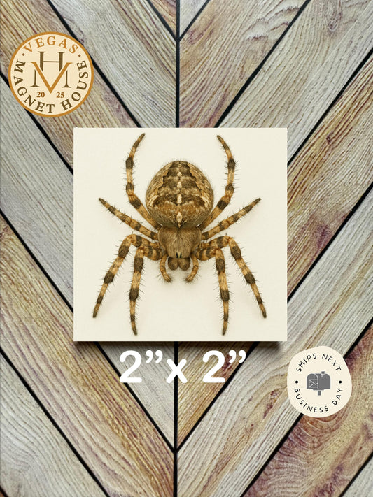 Spider Magnet  2x2": Decorative Fridge Magnet Gift