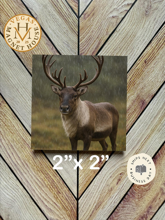 Deer Magnet  2x2": Decorative Fridge Magnet Gift