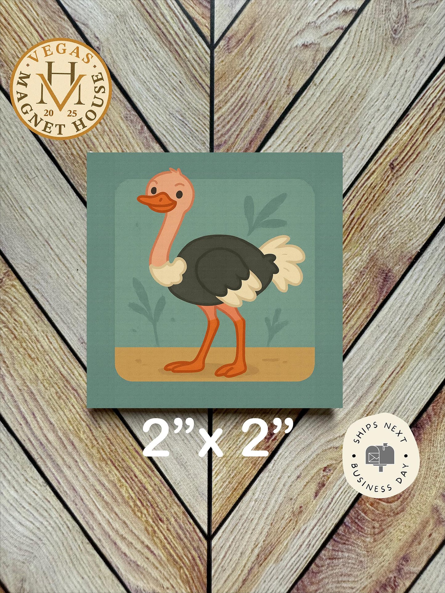 Ostrich Magnet  : 2x2" souvenir Fridge Decor